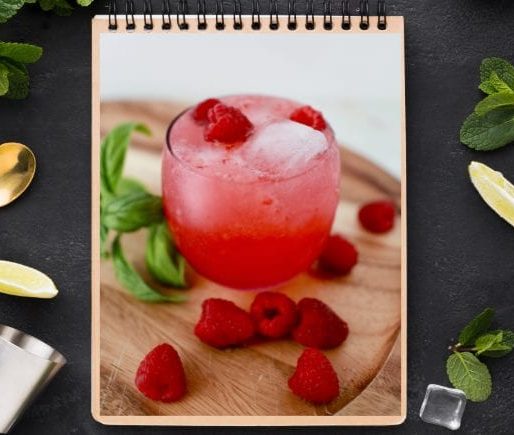 Raspberry Gin Fizz Cocktail