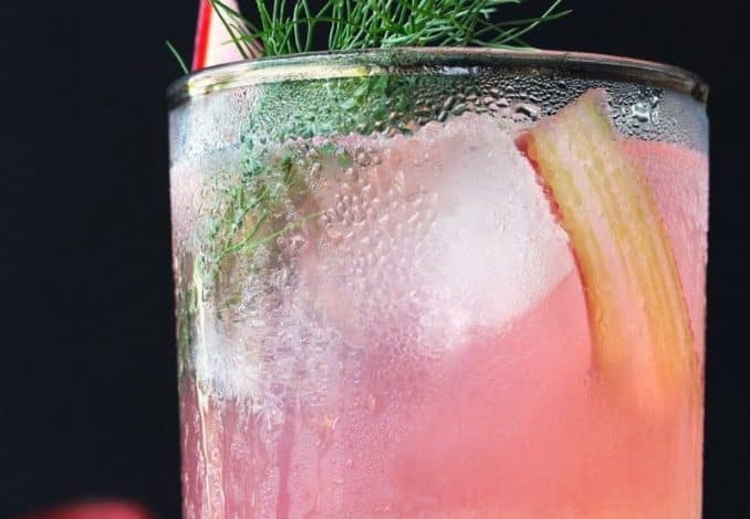 Rhubarb Fennel Gin Cocktail