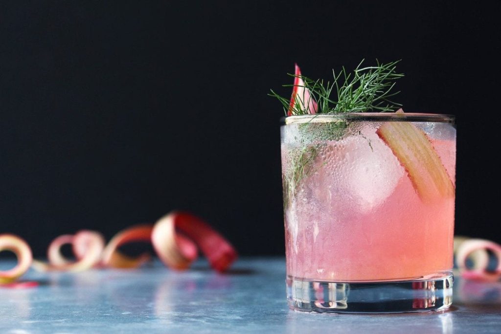 Rhubarb Fennel Gin Cocktail 1